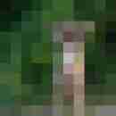 NRWPAAR02