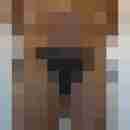 schwhaenschen
