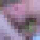 Hengstnbg90