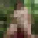 Baecker07
