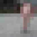 pimperion