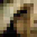 Phorus