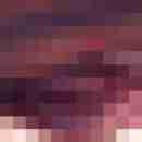 hauk1