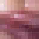 hauk1