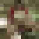Baecker07