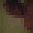 metin