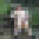 pimperion