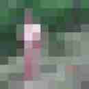 pimperion