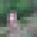 pimperion