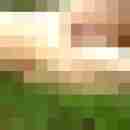 hansl_hans