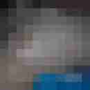 FeuchteKIitty22