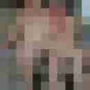 seemann0706