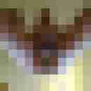 pimperion