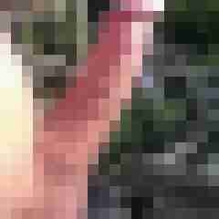 suche123345