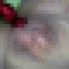 SweetAndDate