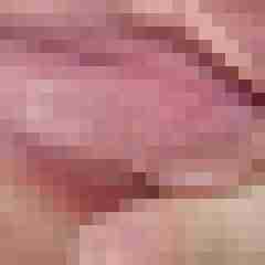 hauk1