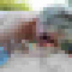 Dirty_Rabbits