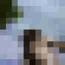 rheingauner6