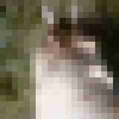 exib1