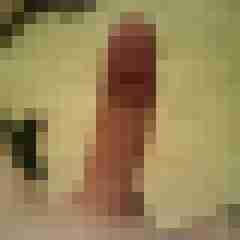 patte83