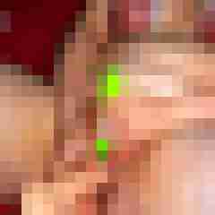 Toddel