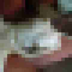 gerrycn