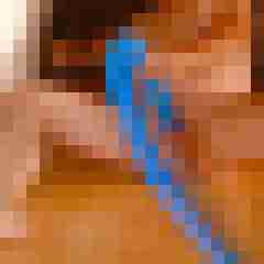 Diesaupete