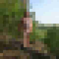 pimperion