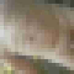 exib1