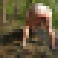 pimperion