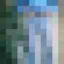 wolf_1b