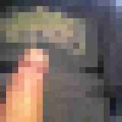 gerd123