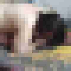 Baecker07
