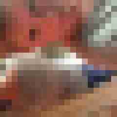 Mistbiene