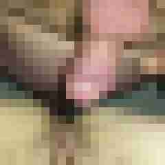 fickpaar55