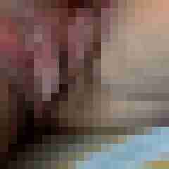 lisaengel137