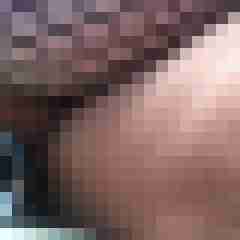wichsgeile_fotze