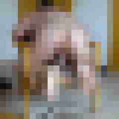 pimperion