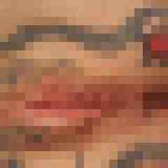 bunte8