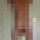 dicker60