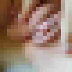 Brinamaus