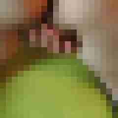 fickpaar55