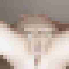 geileSeile
