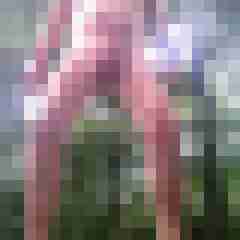 stierodin53
