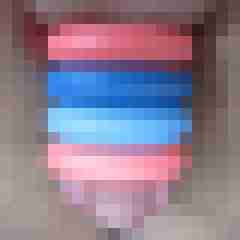 Badenser