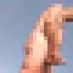stierodin53