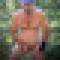 stierodin53