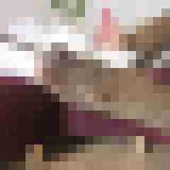 chrisgeyer