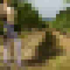 Phorus