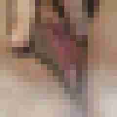 Wirsindgeil_2010